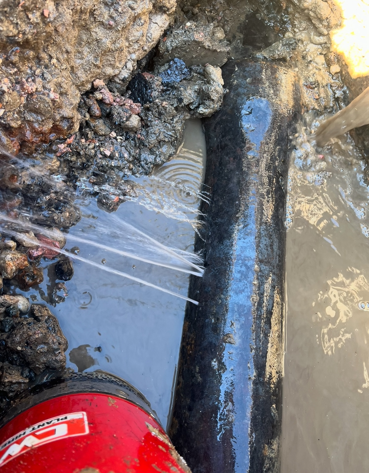 Signs You May Have a Hidden Water Leak on Your Property