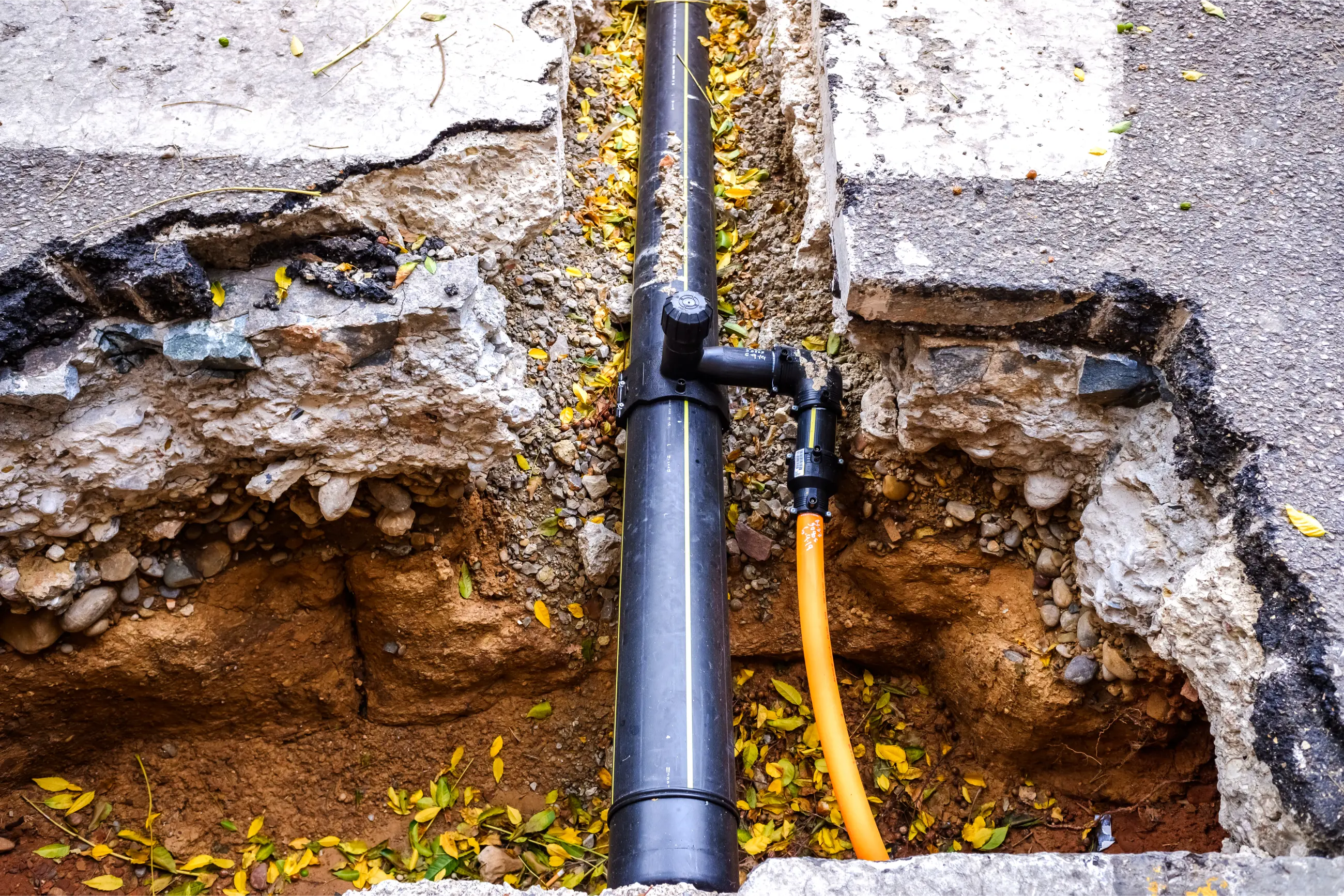 When Should You Replace an Old Lead Water Supply Pipe?
